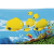 Дитячий надувний басейн Bestway 54118 (262х157х46 см), изображение 2 ᐉ Купить ᐉ Цена ᐉ Заказать